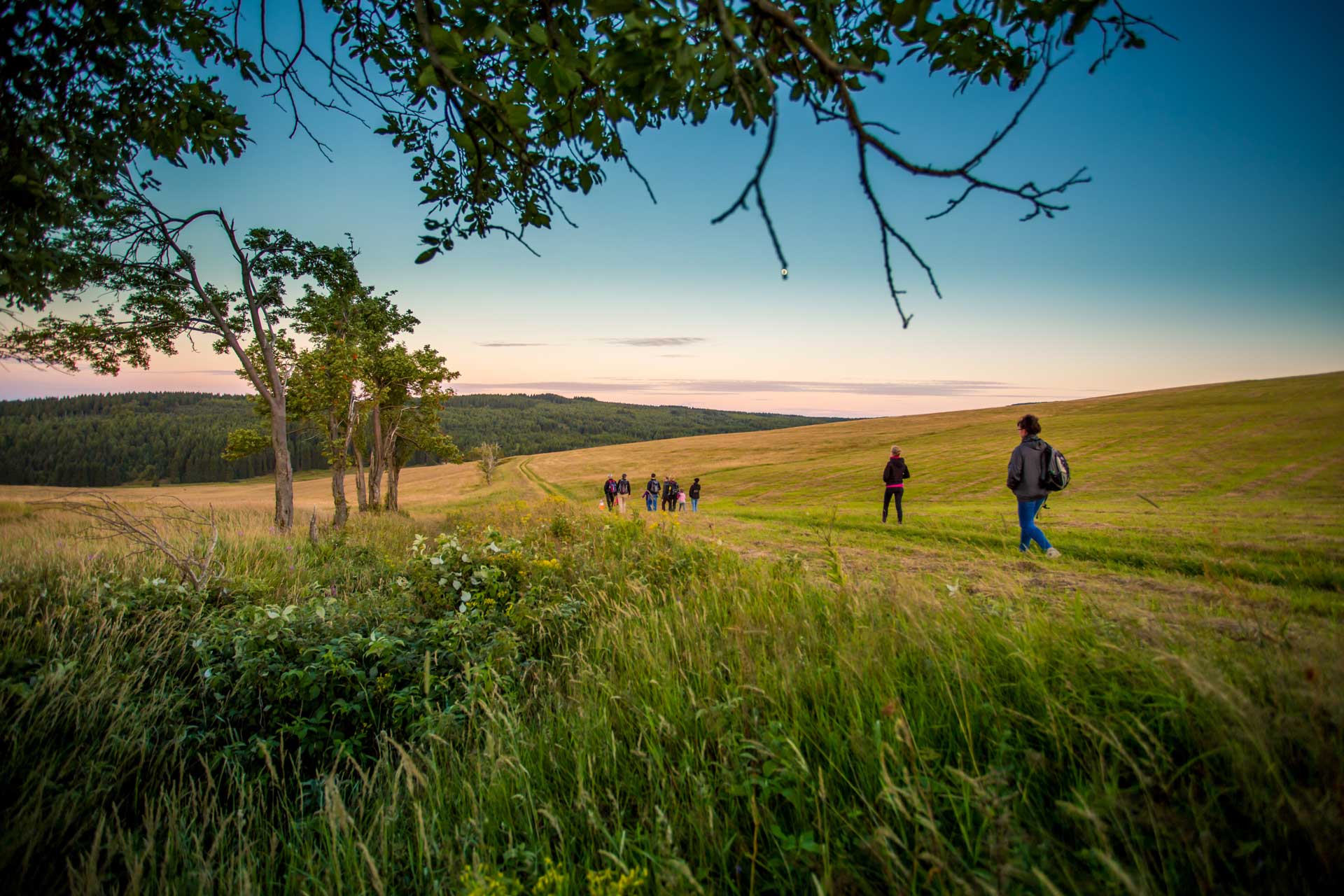 Wanderer im Erzgebirge, Grüne Wiese bei Sonnenuntergang