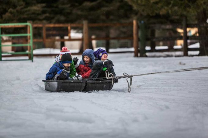 Kinder fahren Schlitten im Winter bei Schnee