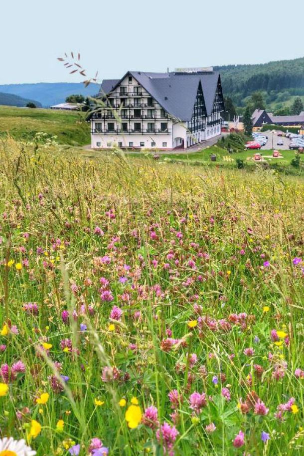 Alpina Lodge Sommer mit Blumenwiese