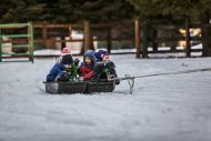 Kinder schlittenfahrend im Schnee